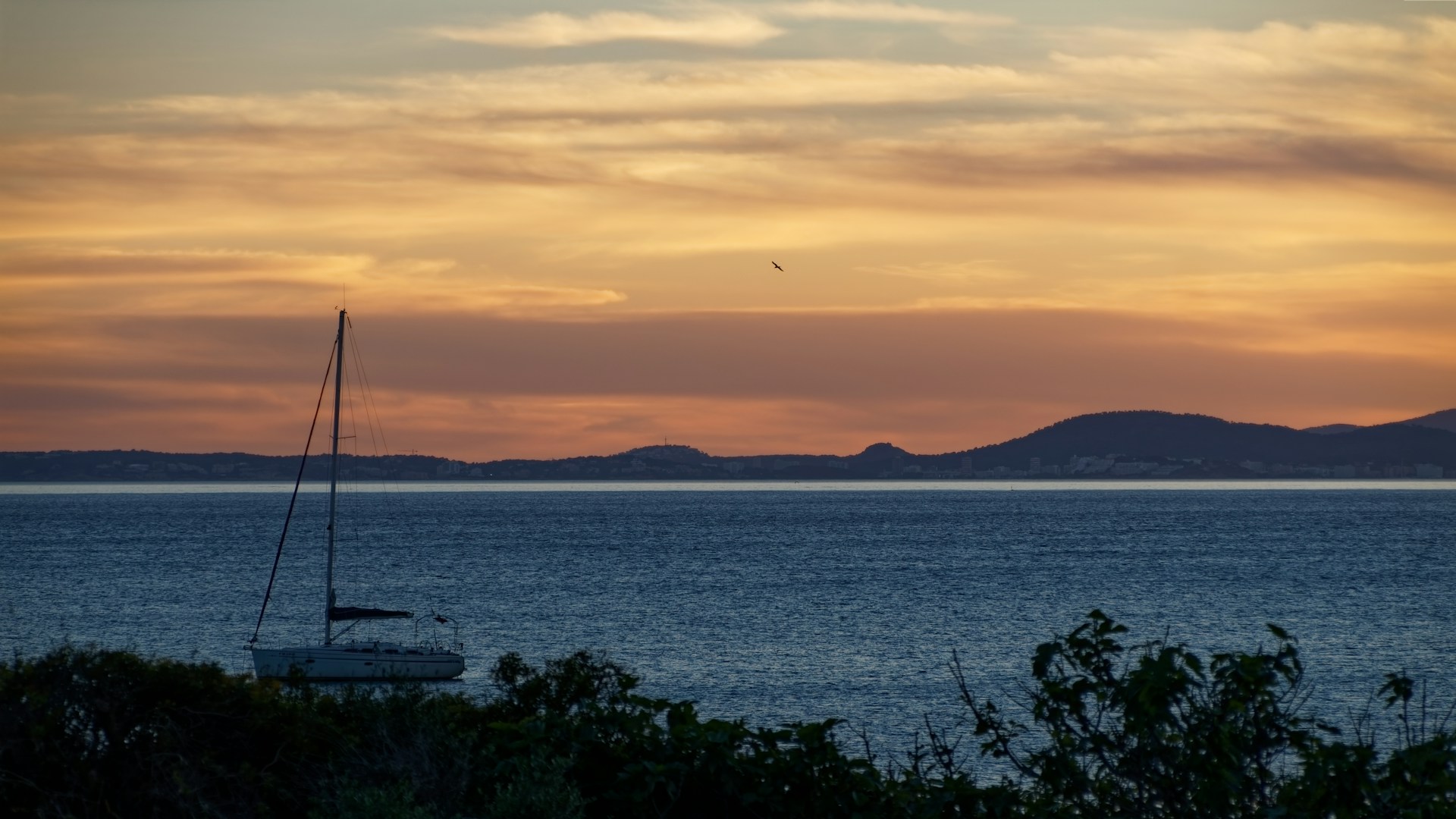 Professional photographer in Mallorca, Spain